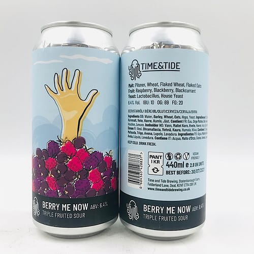 Time and Tide: Berry Me Now Fruited Sour (440ml)